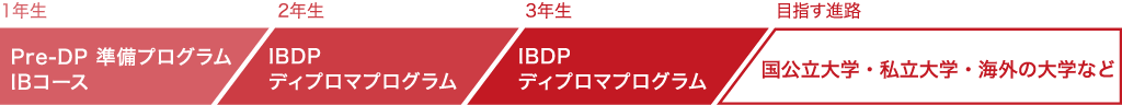 IB(国際バカロレア)コースの流れ